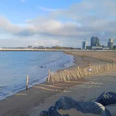 Crevette Bleu * Ostende